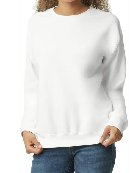Sweatshirt- Organization