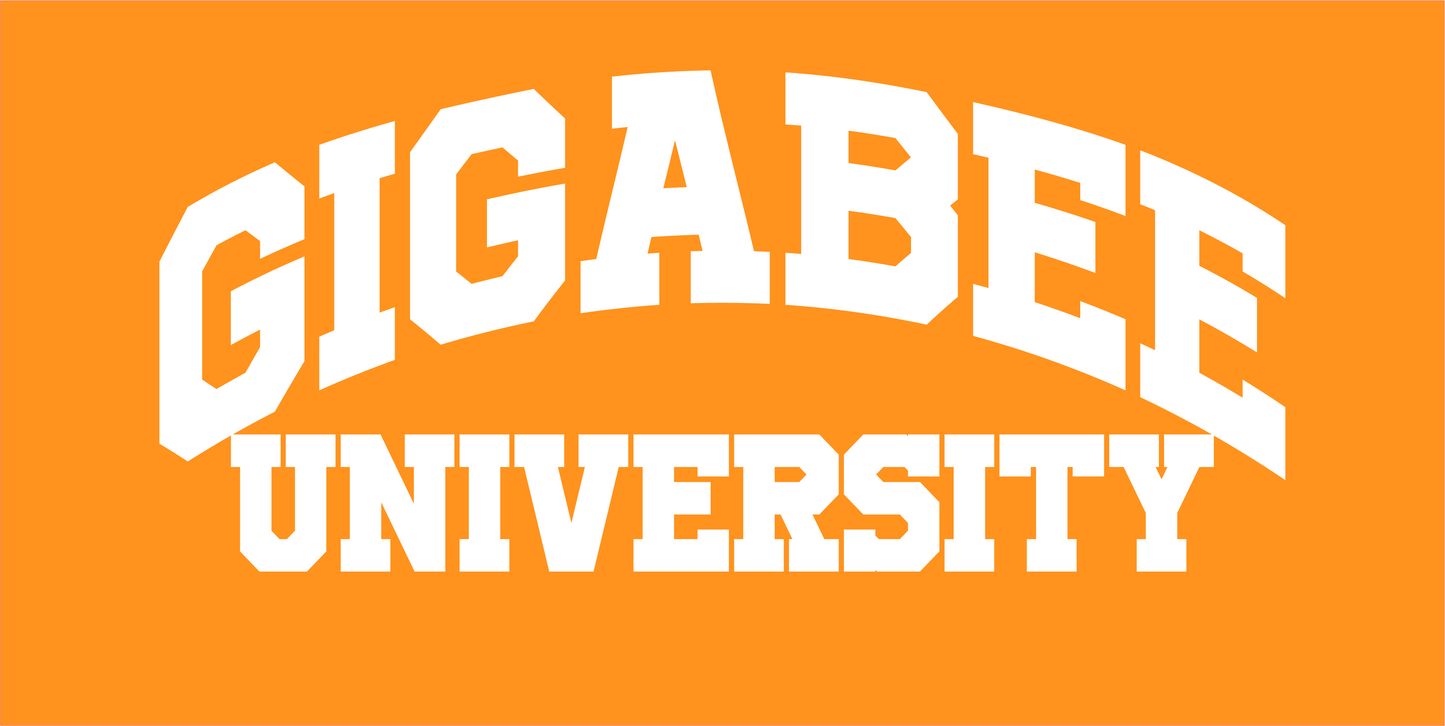 Gigabee University Hoodie