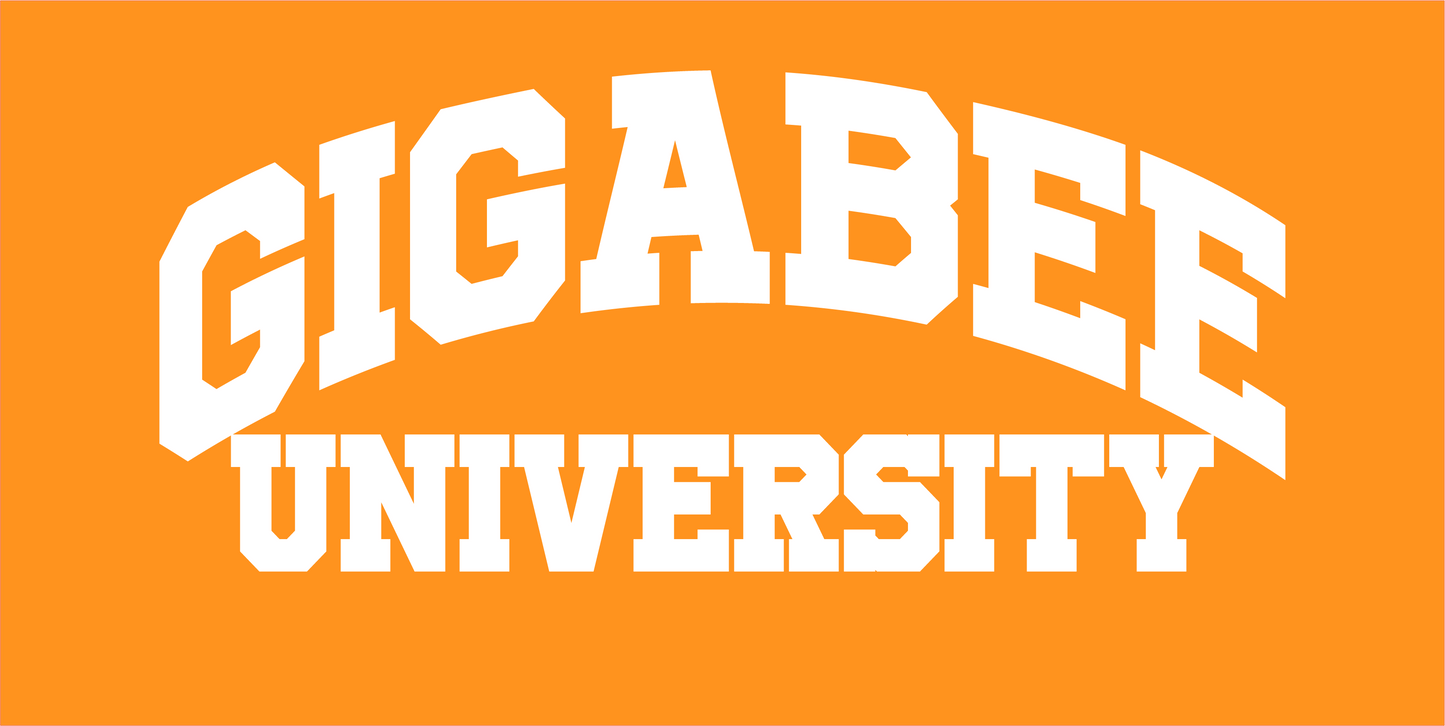 Gigabee University Shirt